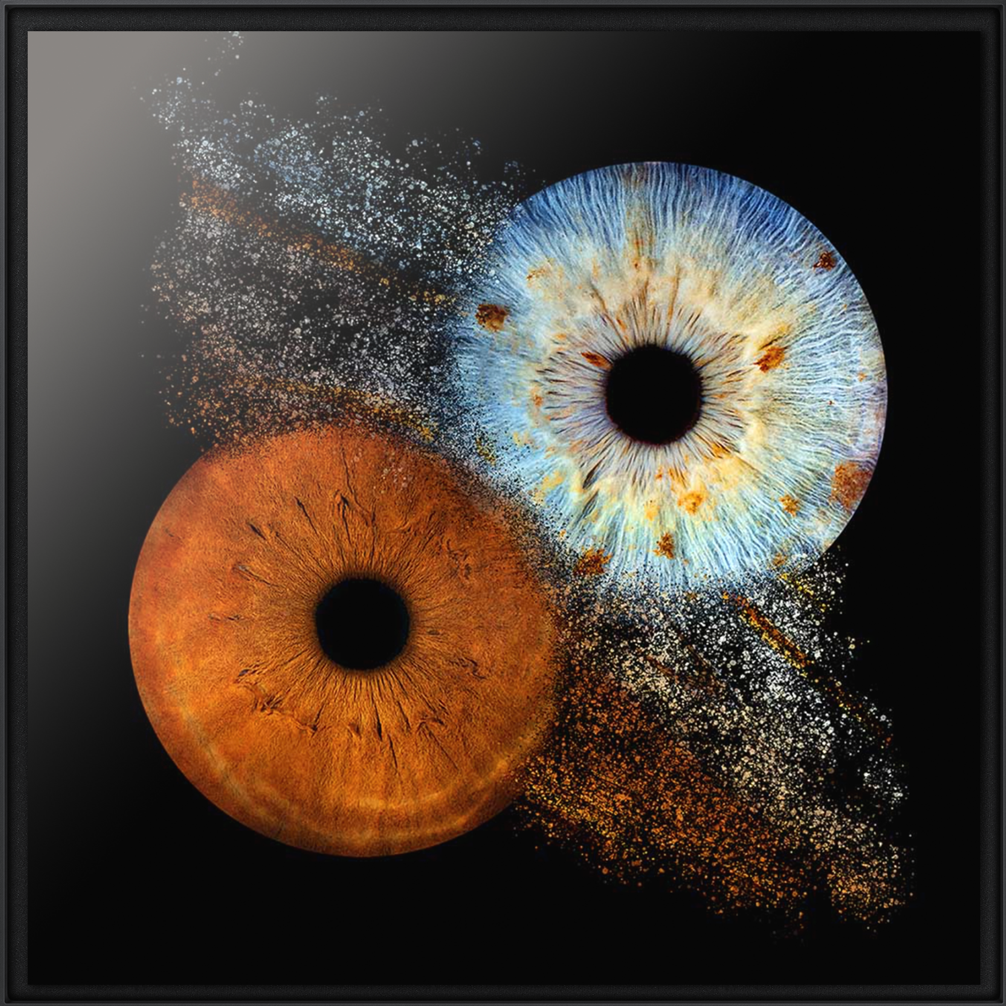 A controllable frame showing an orange iris stuck to a blue iris